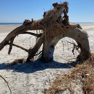 The Impetus Of Belief