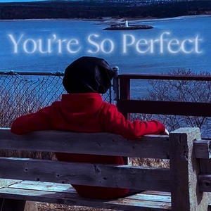 You're So Perfect