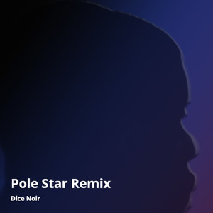 Pole Star (Remix)