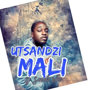 Utsandzi Mali