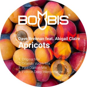 Apricots (Paul Donton Mix)