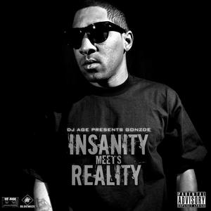 Insanity Meets Reality (Explicit)