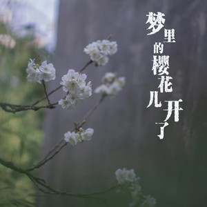 梦里的樱花儿开了