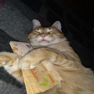 N WAVE (feat. TUSSY) (Explicit)