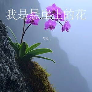 我是悬崖上的花-梦姐