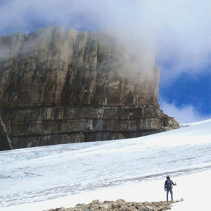 El grito del cóndor