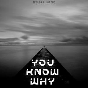 You Know Why (Explicit)