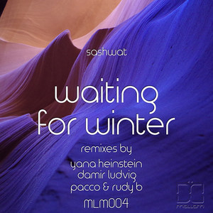 Waiting for Winter (Damir Ludvig Remix)
