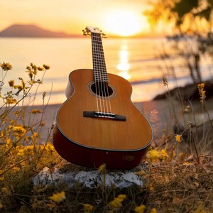 Harmonic Focus: Guitar Music for Meditation