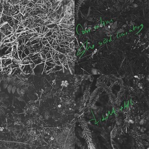 Kidult. - She said , Come along