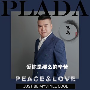 爱你是那么的辛苦 (飞龙 remix|Remix)封面