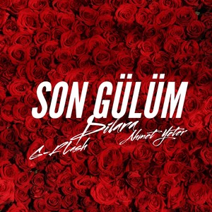 Son Gülüm