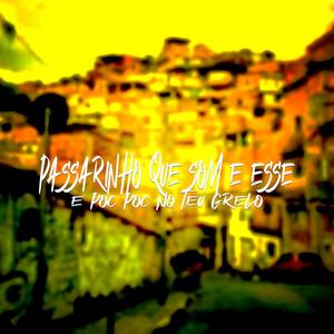 PASSARINHO QUE SOM É ESSE X É POC POC NO TEU GRELO (Explicit)