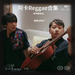 阿卡Reggae合集