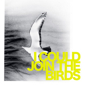I Could Join The Birds