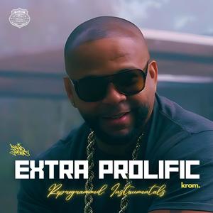 The Hip Hop Protection Force Presents: Extra Prolific (Reprogrammed) Instrumentals