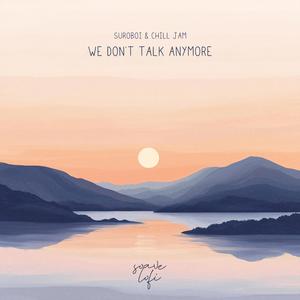 We Don't Talk Anymore