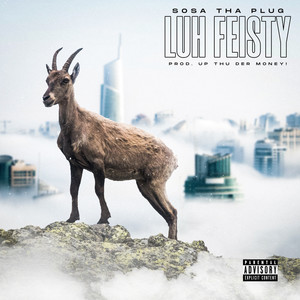 Luh Feisty (Explicit)