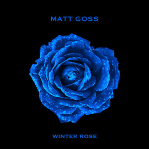 Winter Rose