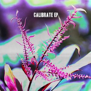 Calibrate EP