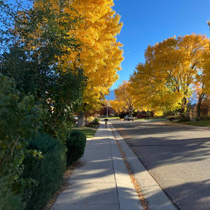 Golden Heart (feat. Dr. Duality) (Explicit)