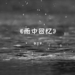 雨中回忆 伴奏
