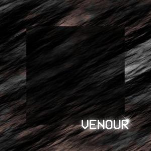 VENOUR