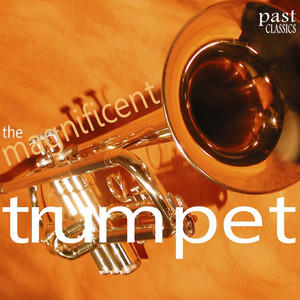 Sonata for Trumpet and Strings in D - I. Allegro moderato