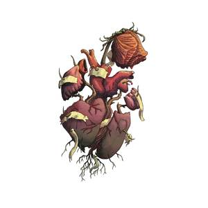 Por ti lo perdí todo