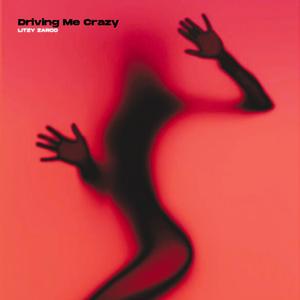 Driving Me Crazy