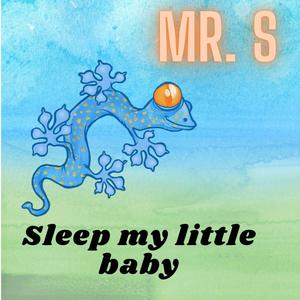 Sleep My Little Baby