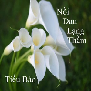 Nỗi Đau Lặng Thầm