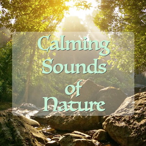 Calming Sounds of Nature