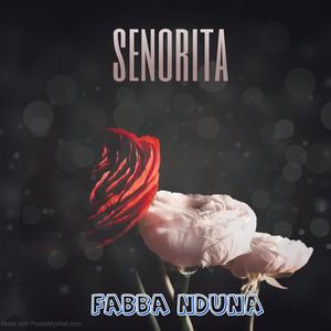 Senorita (Radio Edit)