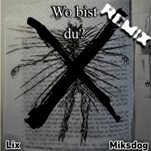 Wo bist du? (Sped Up) (Remix)