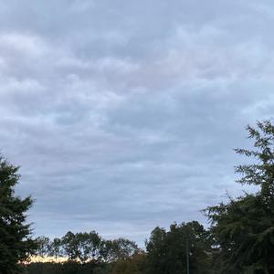 your Friends (Explicit)