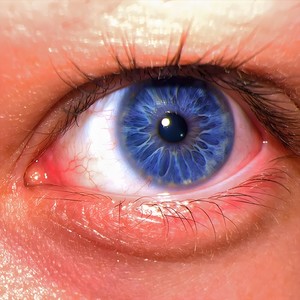 Who Raised Who (Explicit)