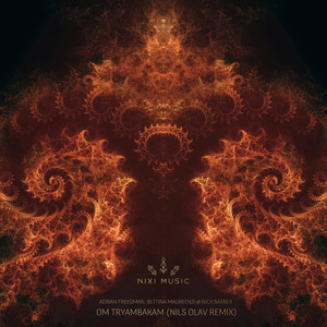 Om Tryambakam (Nils Olav Dub Remix)