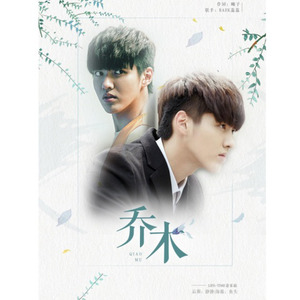 L.T出品=乔木