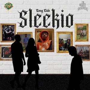 SLEEKIO (Explicit)