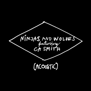 Ninjas & Wolves (Live at Casa Del Pop)