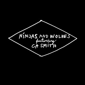 Ninjas and Wolves (Live at Casa Del Pop)