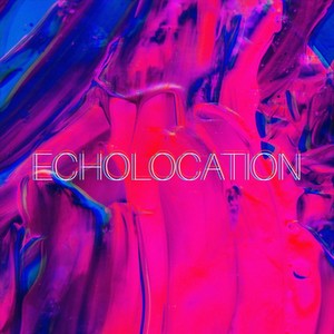 Echolocation