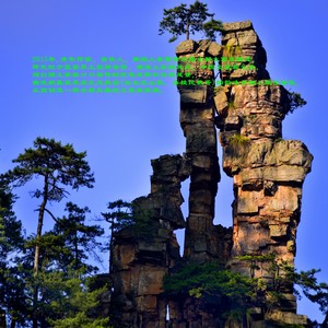 山花红如火 (广场舞版)