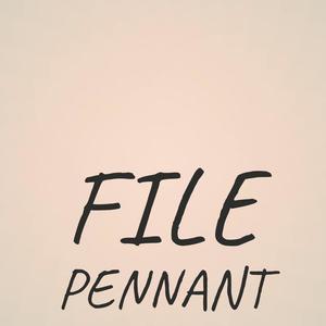 File Pennant