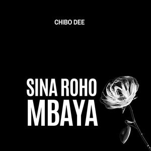Sina Roho Mbaya