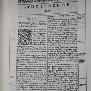 Pleasures Of Purim(feat. Judah Mathias 3rd)