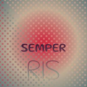 Semper Ris