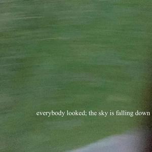 everybody looked: the sky is falling down