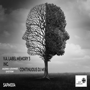 Label Memory 3